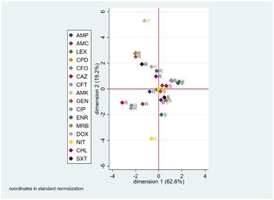 Phenotypic and genotypic antimicrobial resistance in Escherichia coli strains isolated from household dogs in Chile